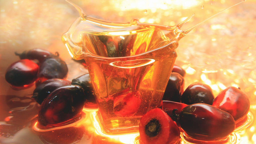 Óleo de Dendê (Óleo de Palma Bruto)