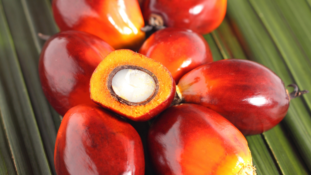 Óleo de Palma Hidrogenado