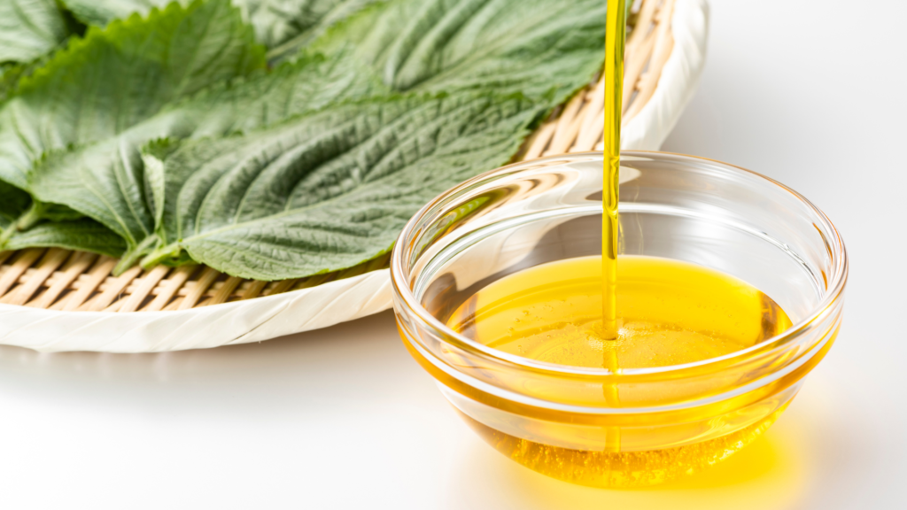 Resinol Exp PU 160/10 Especial