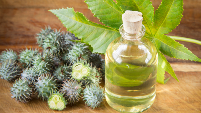 Azevedo-Oleos-Produtos-14-1024x576 Azevedo-Oleos-Produtos-14-1024x576