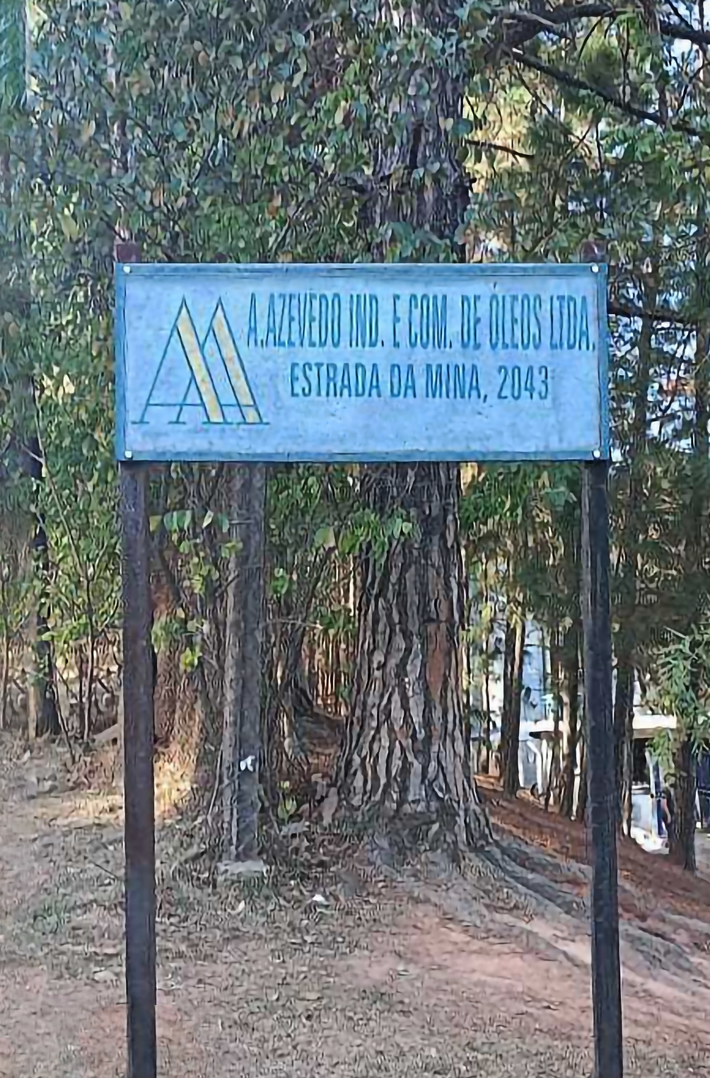 azevedo